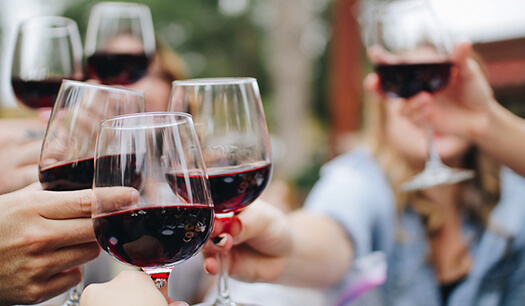 Wine tours party bus Chesapeake 
